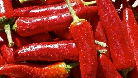 Държавната помощ за застраховки на агропродукция е 1,5 млн. лв. за 2016 г.