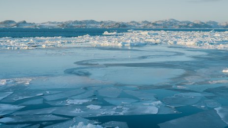 Защо Тръмп иска САЩ да контролират Гренландия?