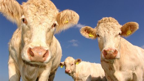 За 15 години фермите в ЕС са намалели с 37%