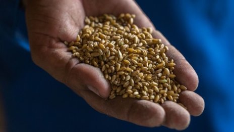 Украйна изтласка руския флот далеч от крайбрежието си