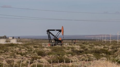 Петролът поскъпва след намек на ОПЕК+ за увеличение на добива*