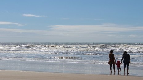 Ангелкова: Новата концепция за плажовете ще се обсъжда и с бизнеса