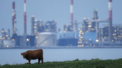 Total устоява на петролните сътресения