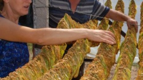 България организира нова защита срещу евродирективата за тютюна