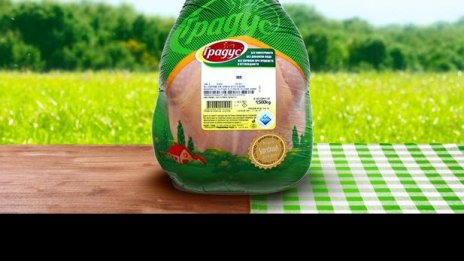 Акционерите на "Градус" одобриха рокади в съвета на директорите