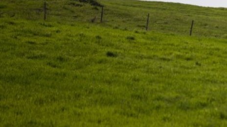 Най-голямата страна в света остава без земя