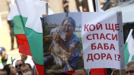 Фермери излязоха на национален протест срещу избиването на животни*