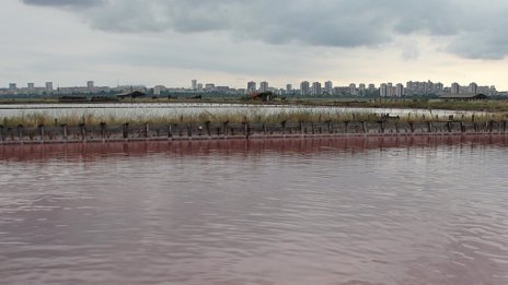 Ще остане ли солодобивът бизнес, при който природата и човека са в хармония?