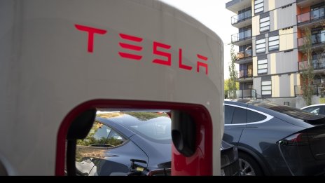 Графика на деня: Tesla все още не е покорила света
