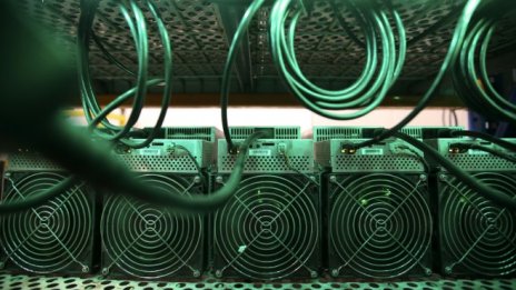 С малко помощ от Мъск криптовалутата шиба ину поскъпна с над 200% за седмица