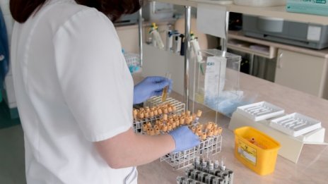 Надя Василева: Недостигът на кадри може да забави икономиката