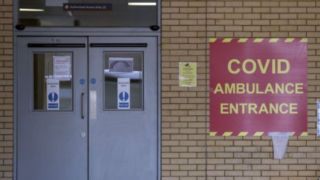 Демокрациите с колективистични черти се справиха най-добре с коронавируса