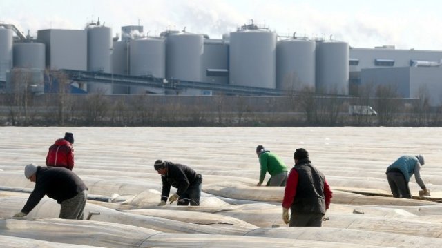 <p>
	<em>Снимка: Архив Ройтерс</em></p>
