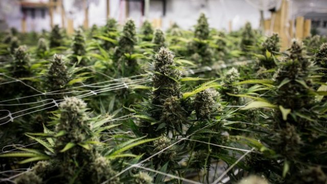 <p>
	<em>Снимка: Bloomberg L.P.</em></p>
