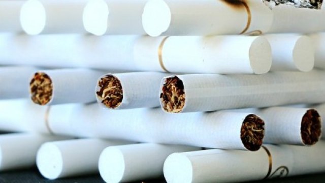 <p>
	<em>Снимка: Pixabay</em></p>
