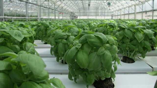 <p>
	<em>Снимка: Pixabay</em></p>
