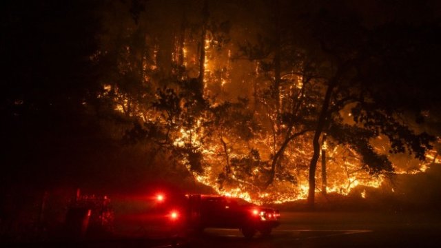 <p>
	Горски пожар в Напа, Калифорния. <em>Снимка: Bloomberg LP</em></p>
