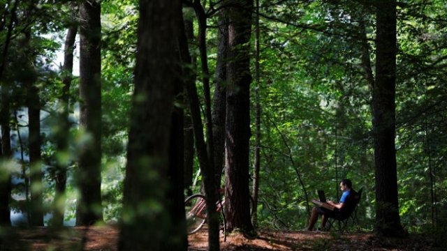 <p>
	<em>Снимка: Архив Ройтерс</em></p>
