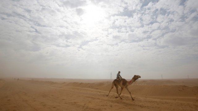 <p>
	<em>Снимка: Архив Ройтерс</em></p>
