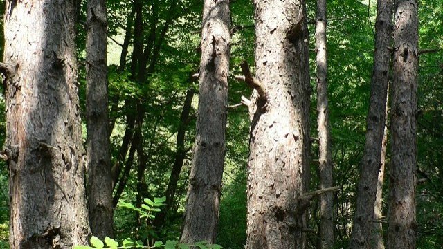 <p>
	<em>Снимка: Investor.bg</em></p>
