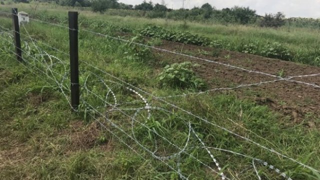 <p>
	<em>Снимка: МЗХГ</em></p>
