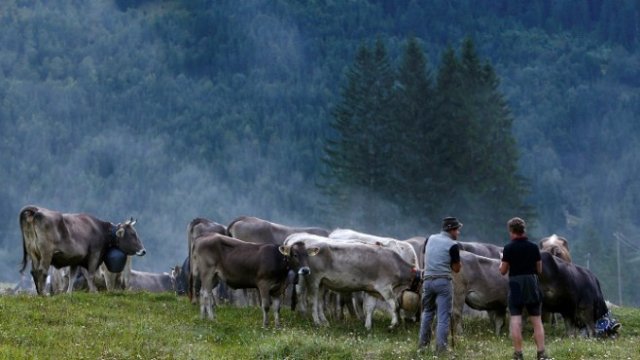 <p>
	<em>Снимка: Архив Ройтерс</em></p>
