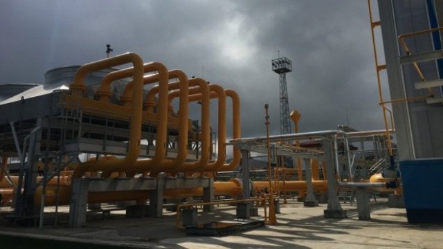 <p>
	<em>Снимка: МЕ</em></p>
