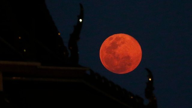 <p>
	<em>Снимка: Getty</em></p>
