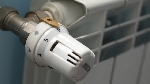 <p>
	<em>Снимка: БГНЕС</em></p>
