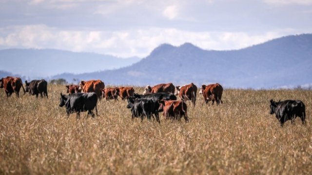 <p>
	<em>Снимка:&nbsp;David Gray/Bloomberg</em></p>
