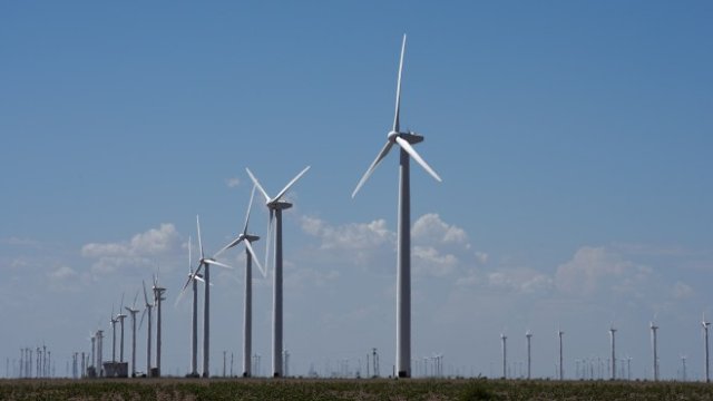 <p>
	<em>Снимка: Ройтерс</em></p>
