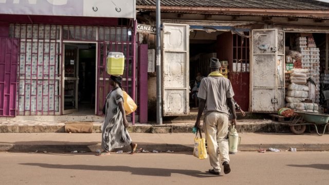 Снимка: Annika Hammerschlag/Anadolu via Getty Images