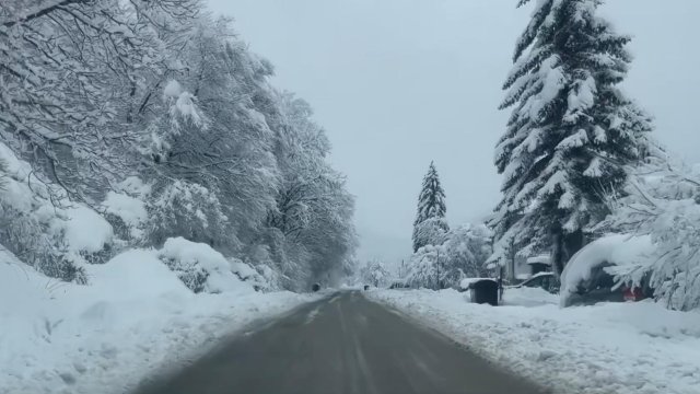 Снимка: Иван Янев, БГНЕС