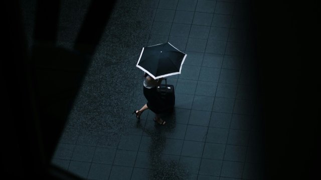 Снимка: Pexels