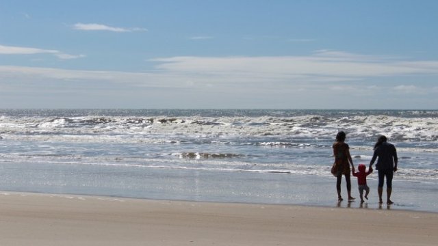 <p>
	<em>Снимка: Рixabay</em></p>
