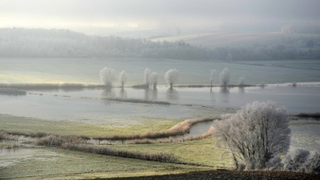 <p>
	<em>Снимка: pixabay.com</em></p>
