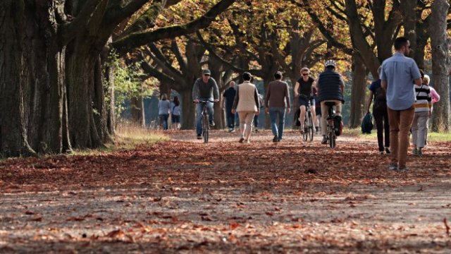 <p>
	<em>Снимка: Pixabay</em></p>
