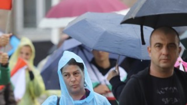 <p>
	<em>Снимка: Гергана Костадинова, БГНЕС</em></p>
