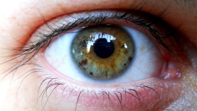 <p>
	<em>Снимка: Pixabay</em></p>
