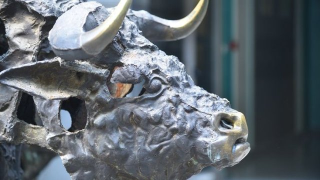 Снимка: БФБ АД