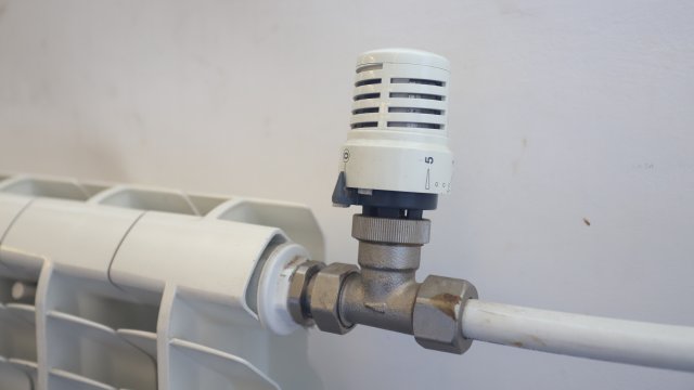 Снимка: Стойко Поповски, БГНЕС