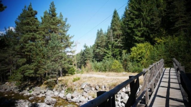 <p>
	<em>Снимка: БГНЕС/Цветана Арангелова</em></p>
