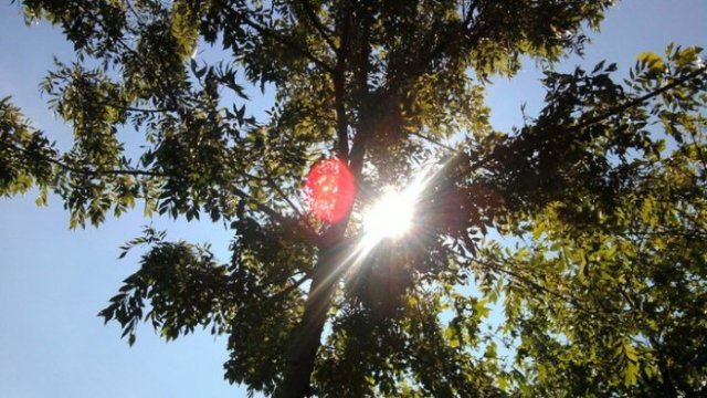 <p>
	<em>Снимка: Investor.bg</em></p>
