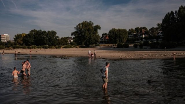 Хора се разхлаждат в намалелите заради сушата и горещините води на р. Рейн. Снимка: Ben Kilb/Bloomberg