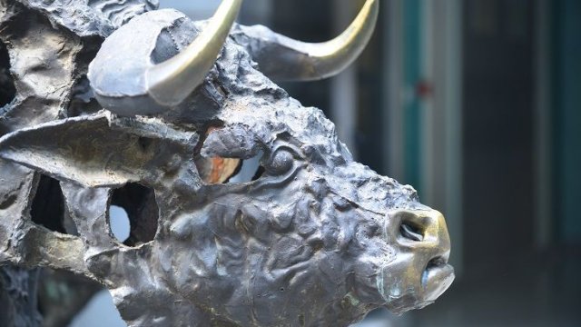 Снимка: БФБ АД