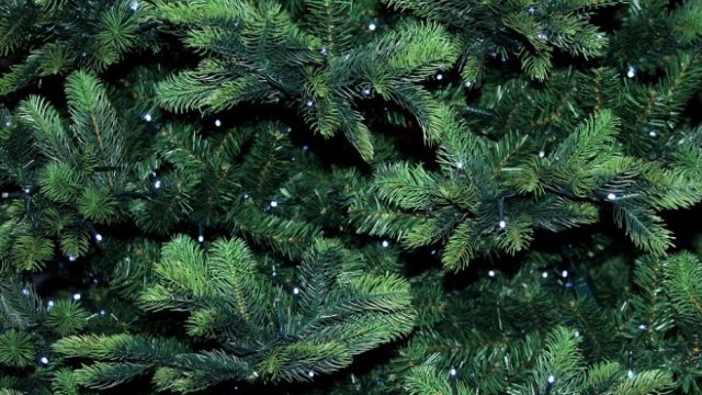 <p>
	<em>Снимка: Pixabay</em></p>
