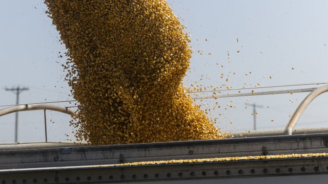 Снимка: Bloomberg L.P.