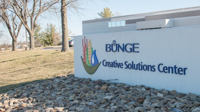 Търговецът на зърно Bunge сключи една от големите сделки през второто тримесечие с придобиването на конкурента си Viterra. Снимка: Neeta Satam/Bloomberg