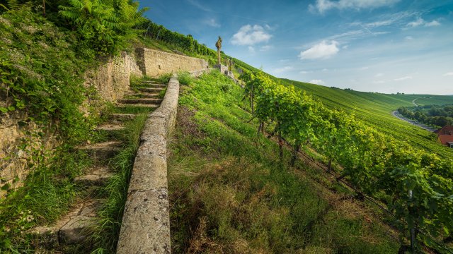 Снимка: Freepik.com