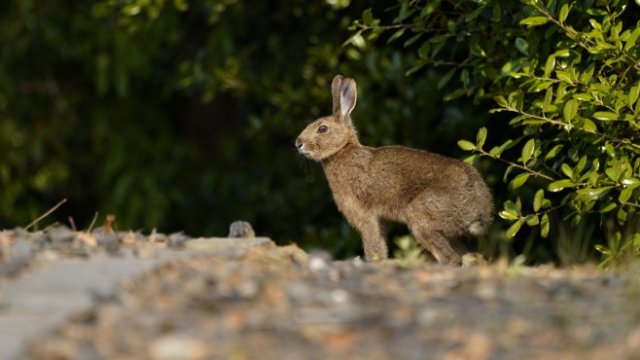 <p>
	<em>Снимка: Bloomberg</em></p>
